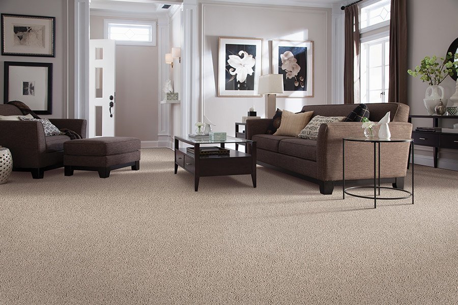 Modern carpeting in Wentzville MO from Troy Flooring Center