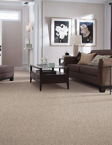 Modern carpeting in Wentzville MO from Troy Flooring Center