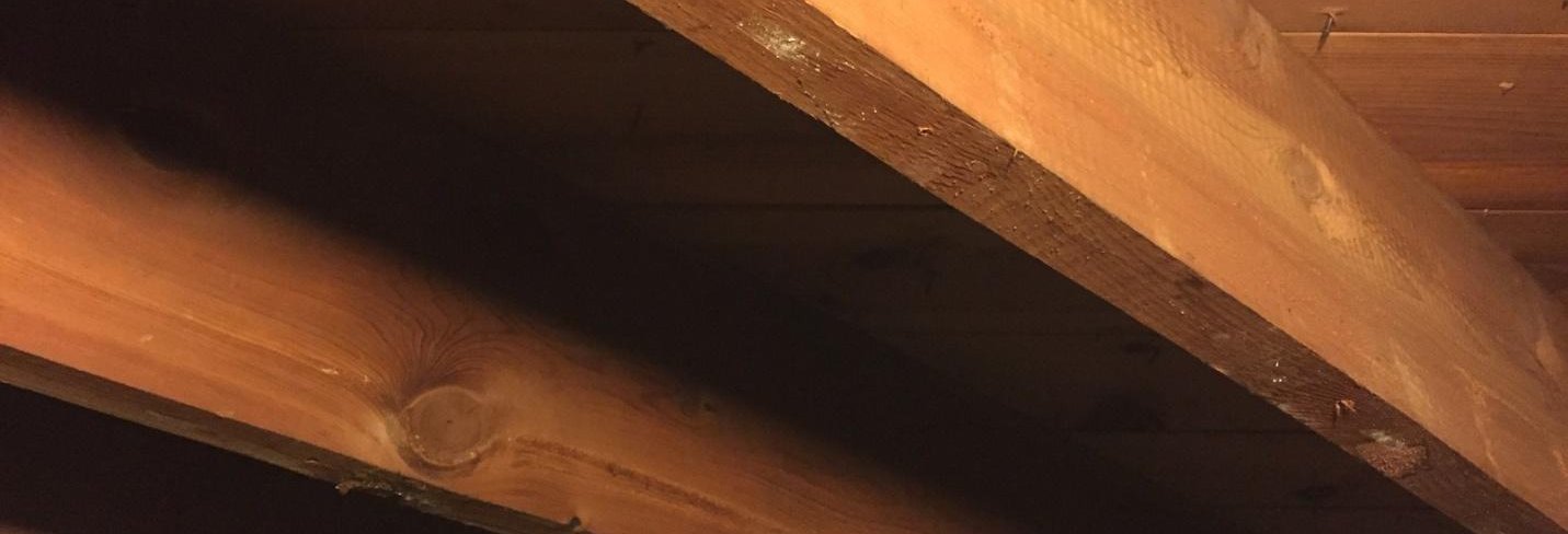 FLOOR JOISTS UNDER FLOORING